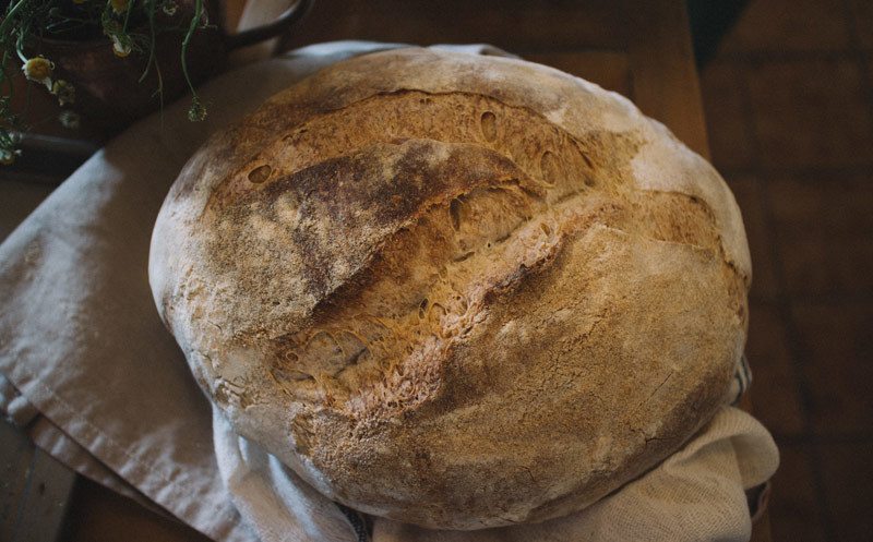 Sourdough Bread Machine Recipe 